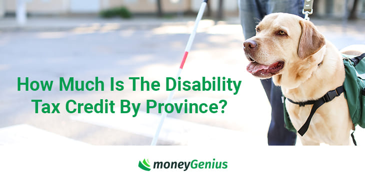 How Much Is The Disability Tax Credit By Province?