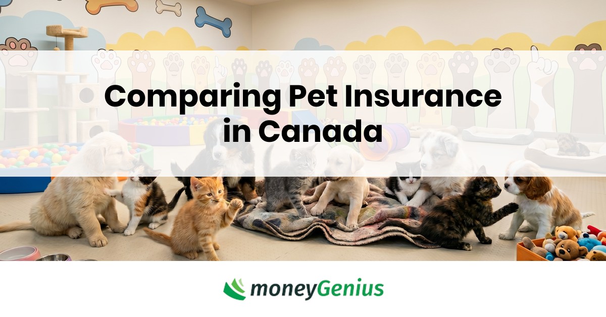 Comparing Pet Insurance in Canada
